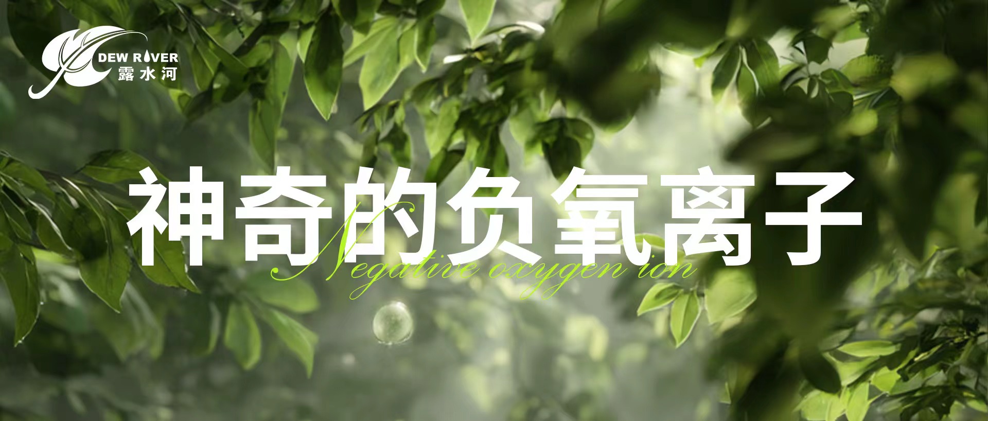 露水河 | 神奇的負氧離子